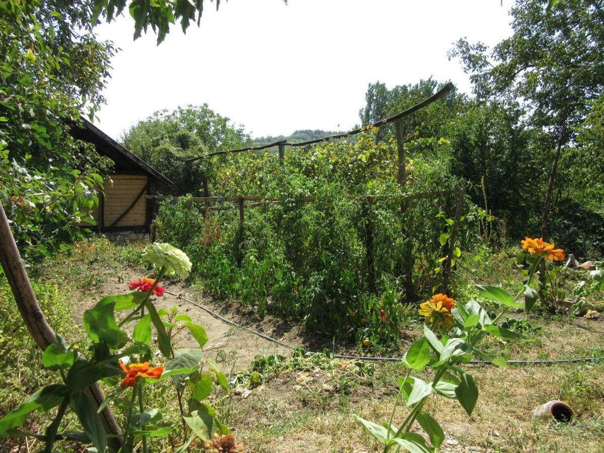 Beefree Gorsko Slivovo Exterior foto